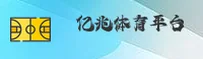 使用指南与常见问题